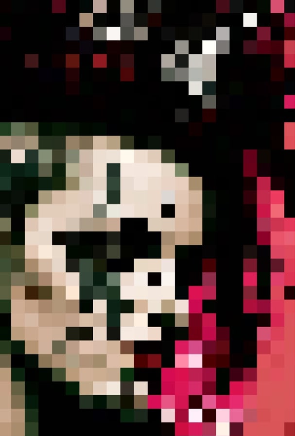 pixelated face